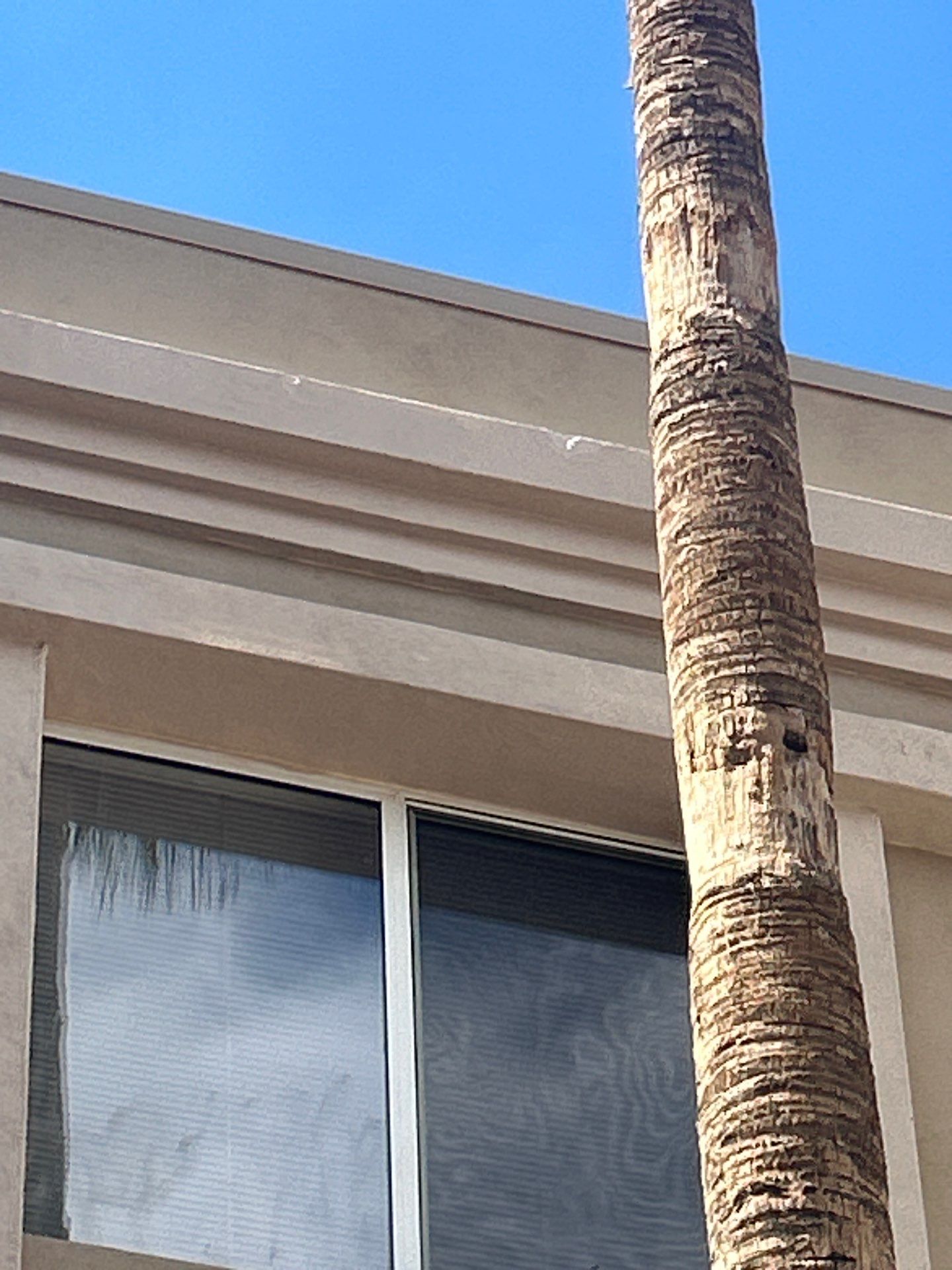 Project in Sun City by Crush Development Services LLC