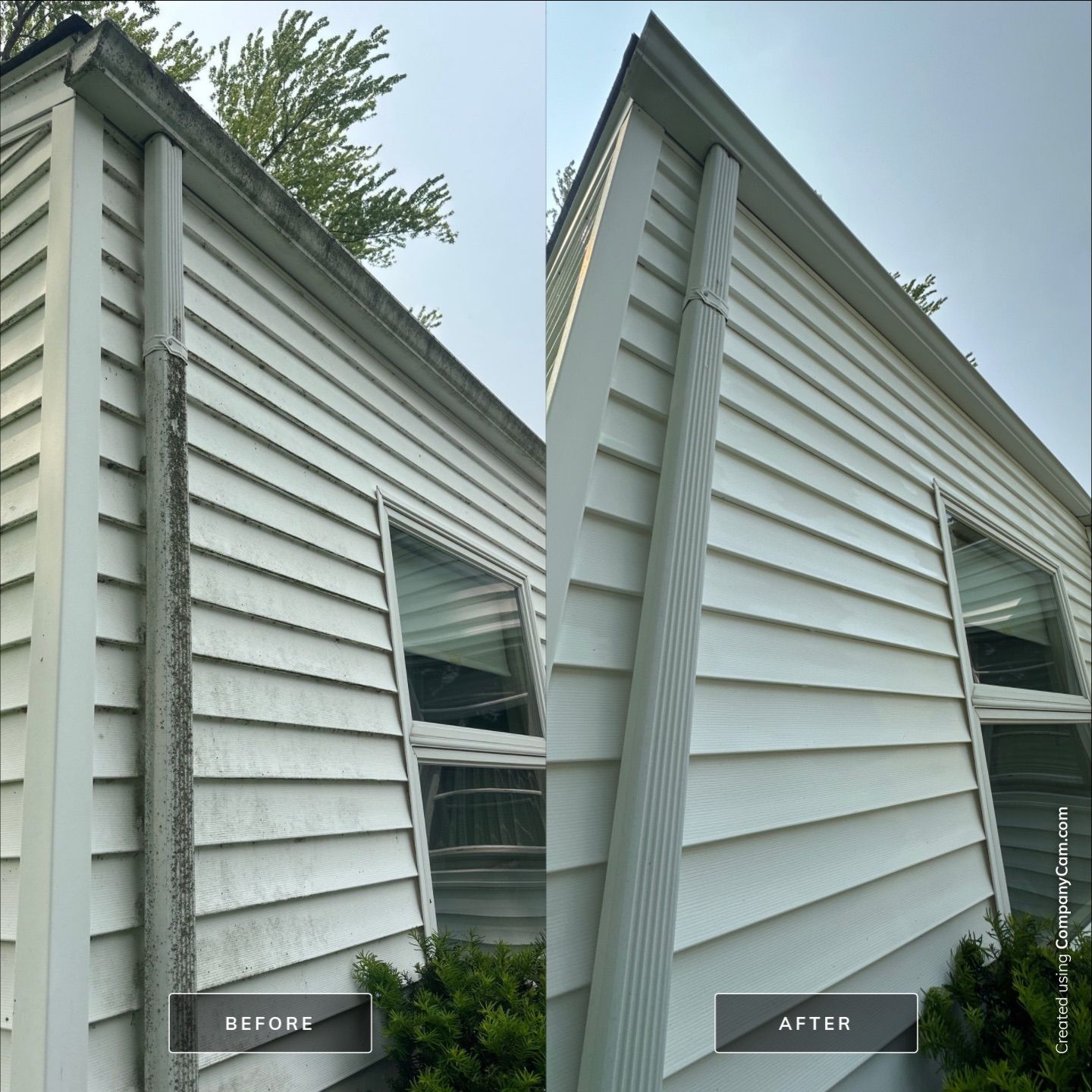 Project in Ringwood by Simmons Power & Soft Washing