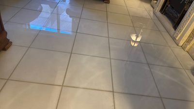 Emergency Water Extraction — Bonita Springs, FL