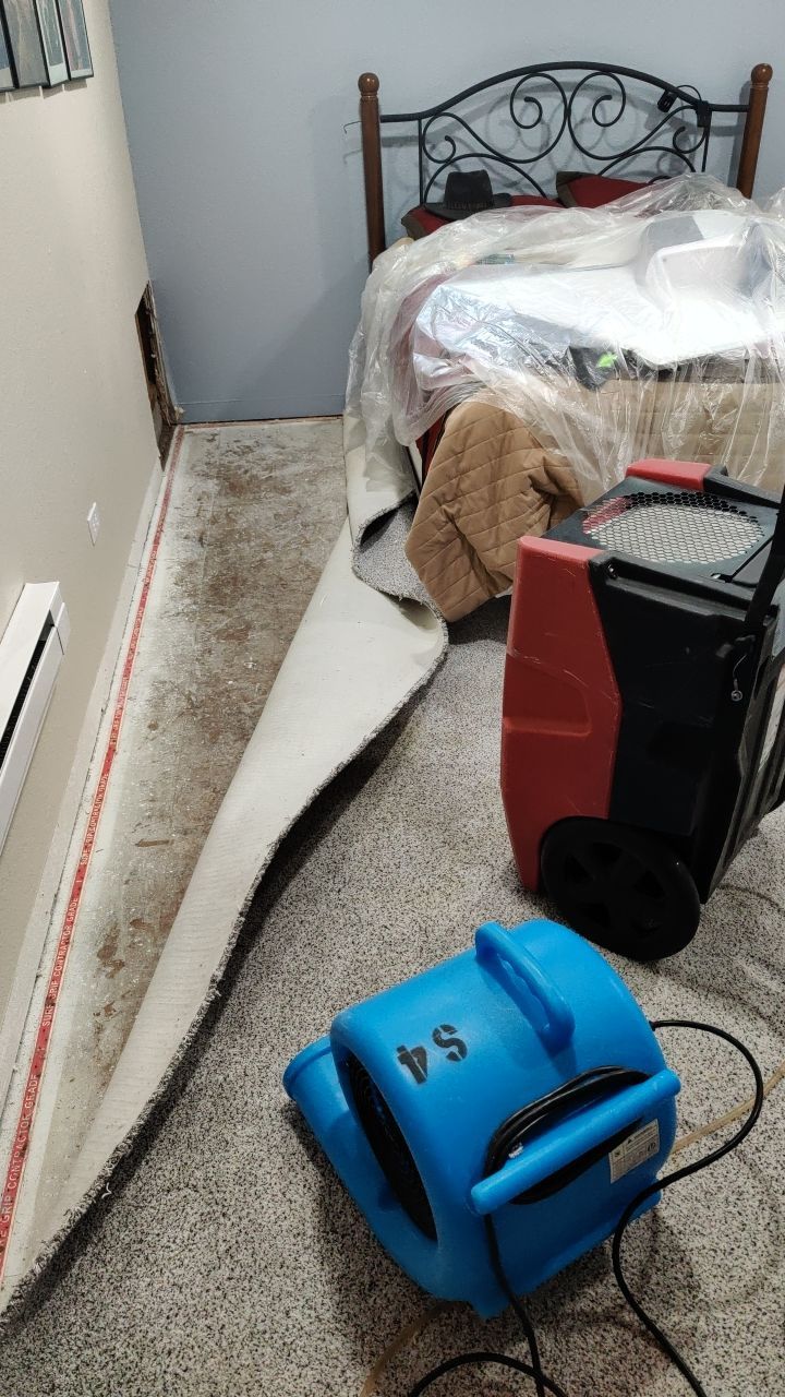 Water Damage and Mold Remediation by Accountable Home Services