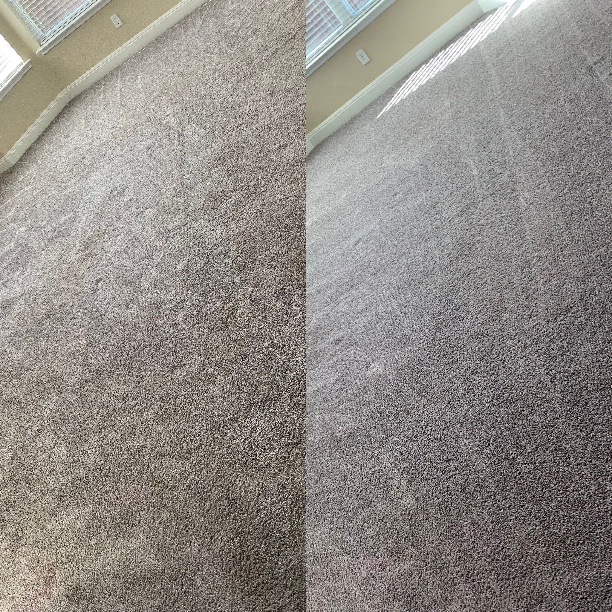 carpet cleaning service showing before and after results on carpeted floor areas in a residential room