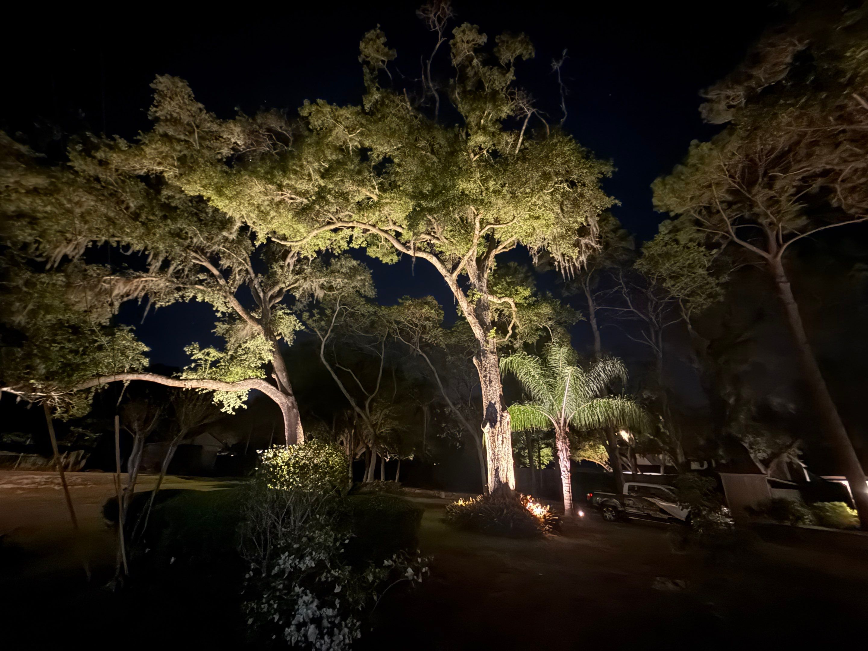 Waterfront Landscape Lighting Illumination in Odessa by Elegant Accents