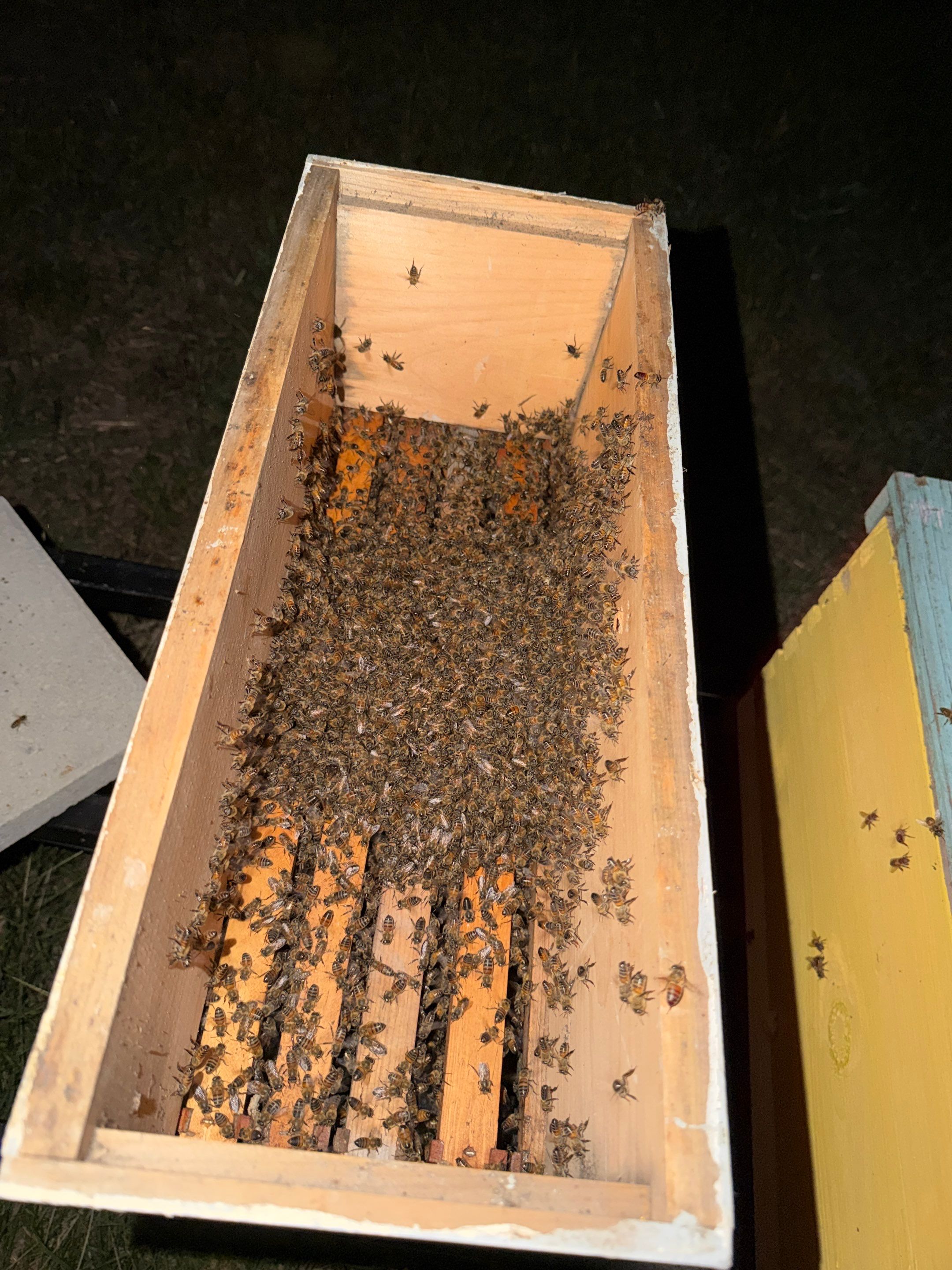 Project in Heath, TX by Rockwall Honey Bee Company