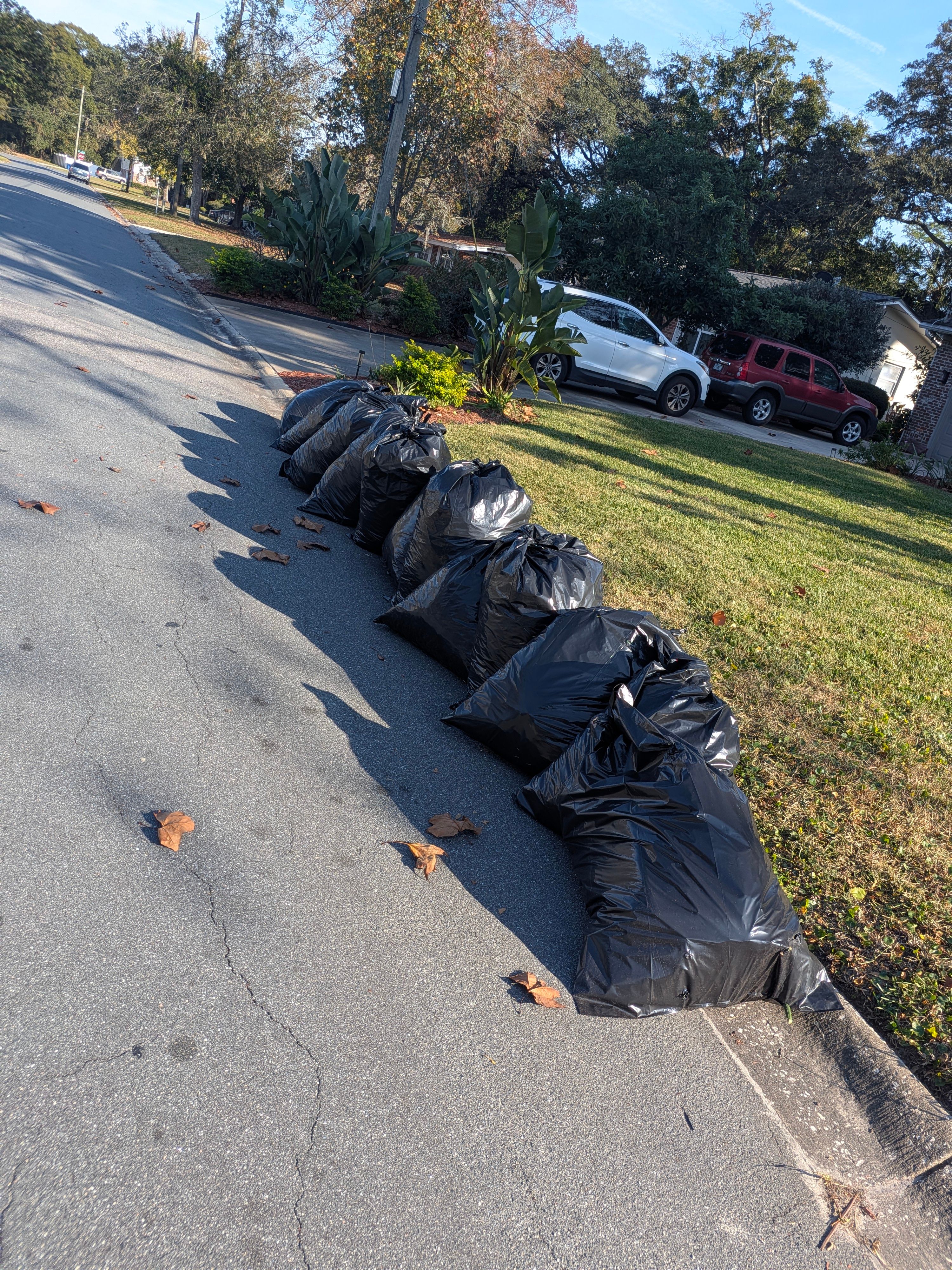 Large-Scale Leaf Removal & Property Cleanup — Jacksonville, FL (Arlington Area) by Harmoni Home Services