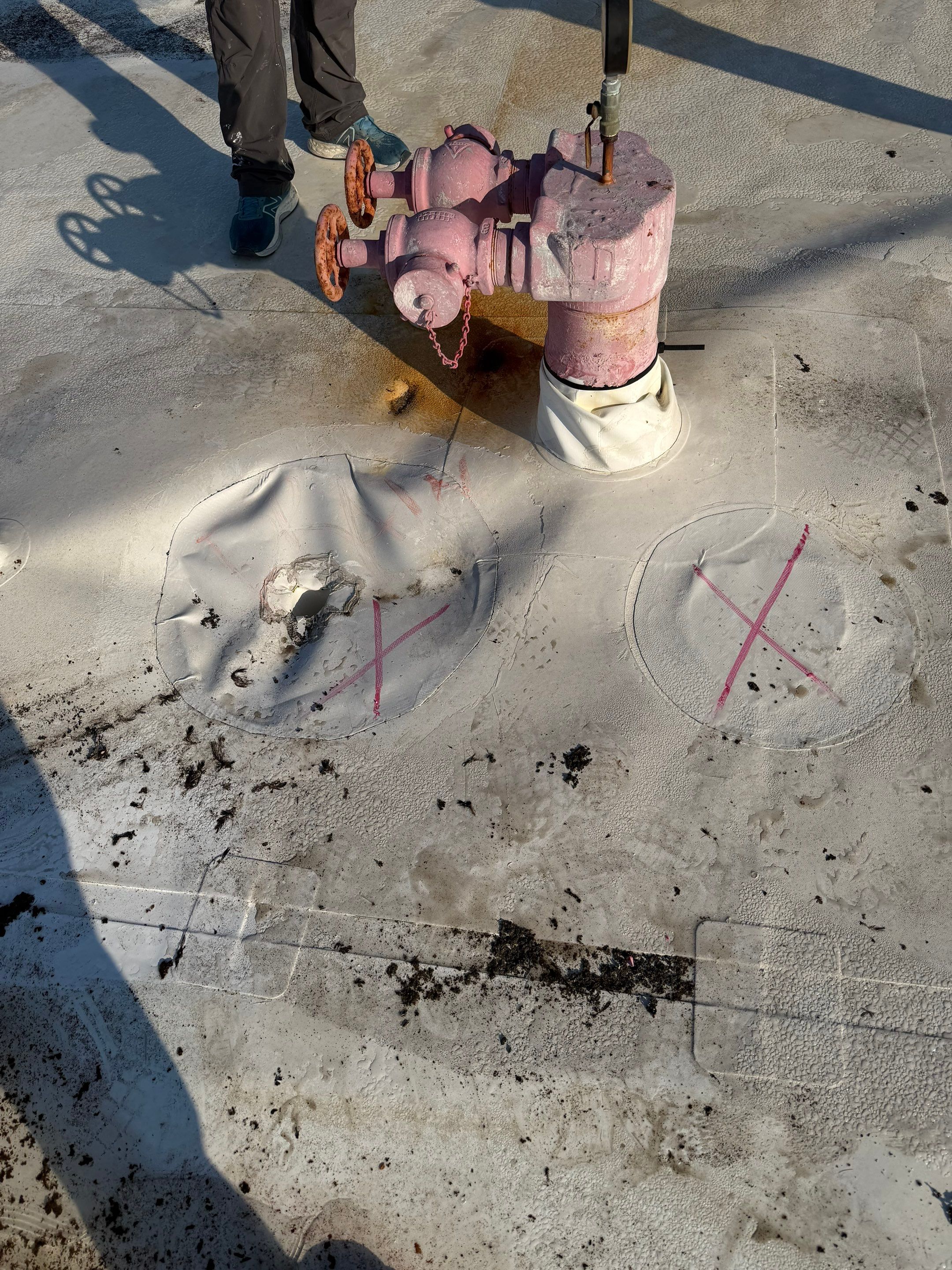 Commercial Roof - South Pasadena, Florida by Tru Concepts