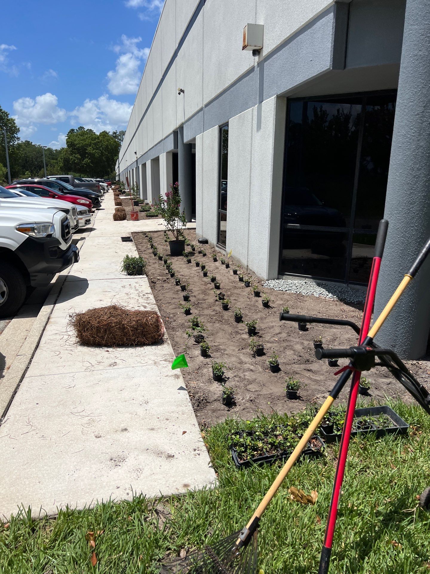 Large Landscape Project | Center Point by ProGreen Services