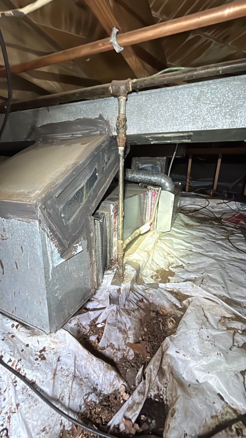 Sewage Backup by Accountable Home Services