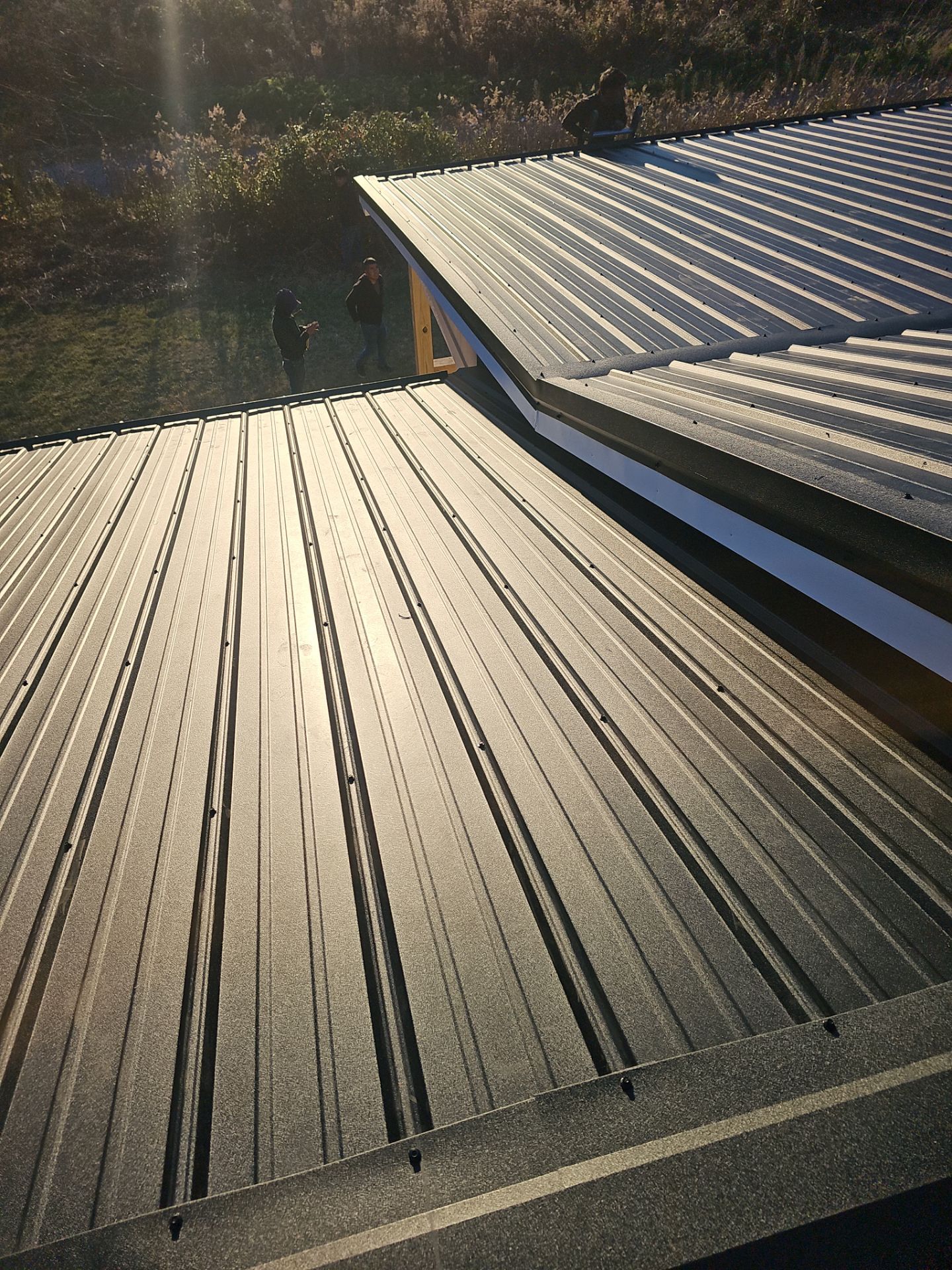 Carpenter Project by Omnia Roofing