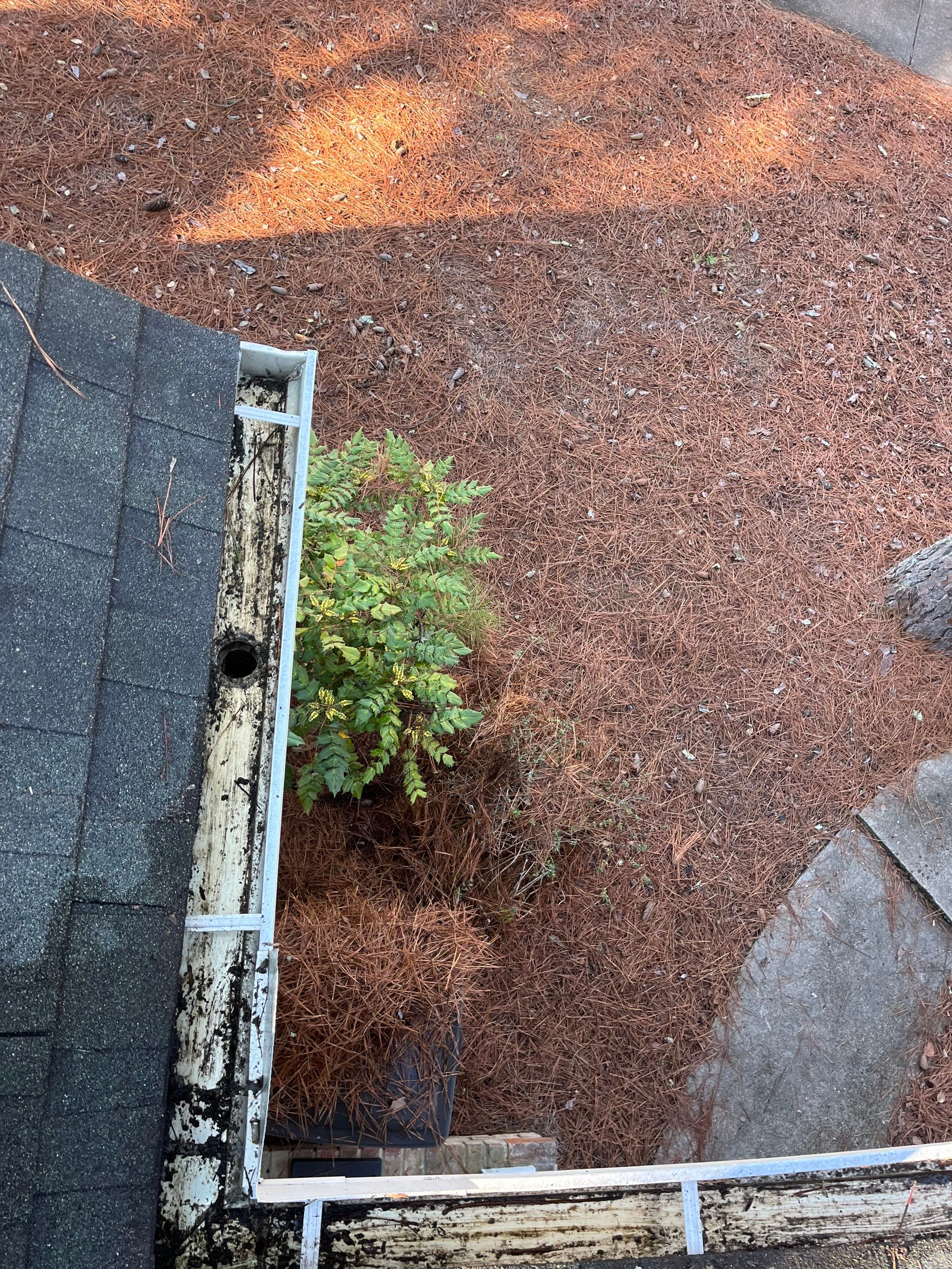 Commercial gutter cleaning Pinehurst & Southern Pines, NC after photo with clean gutters