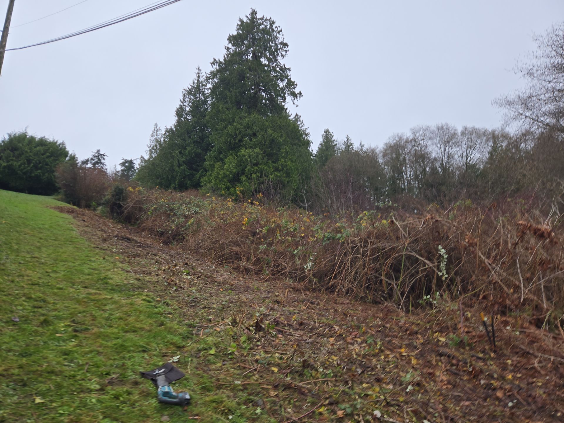 Island View - Ecological Restoration & Stewardship by Habanero Landscape Solutions