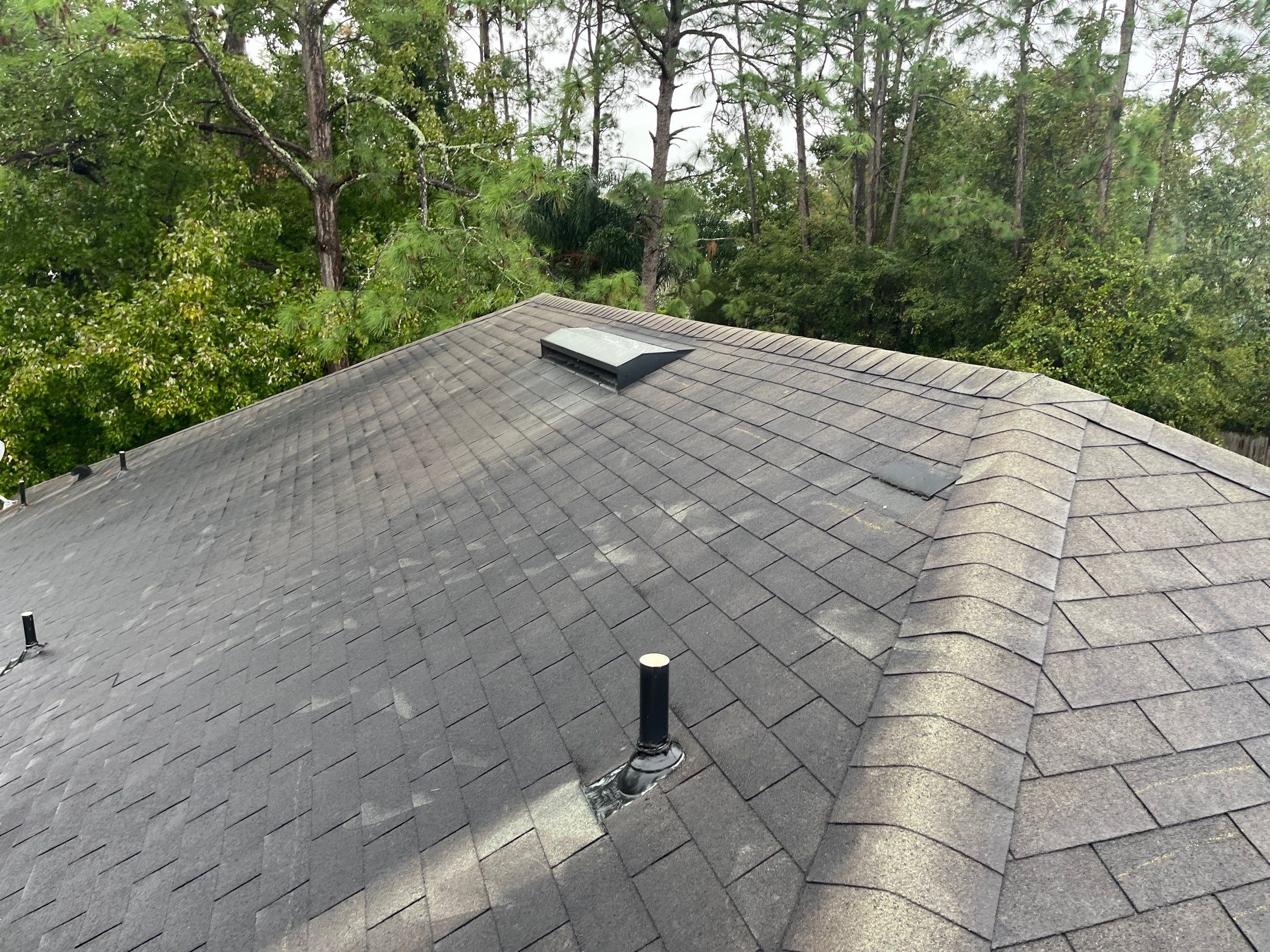 Shingle -> Shingle by Prime Roofing