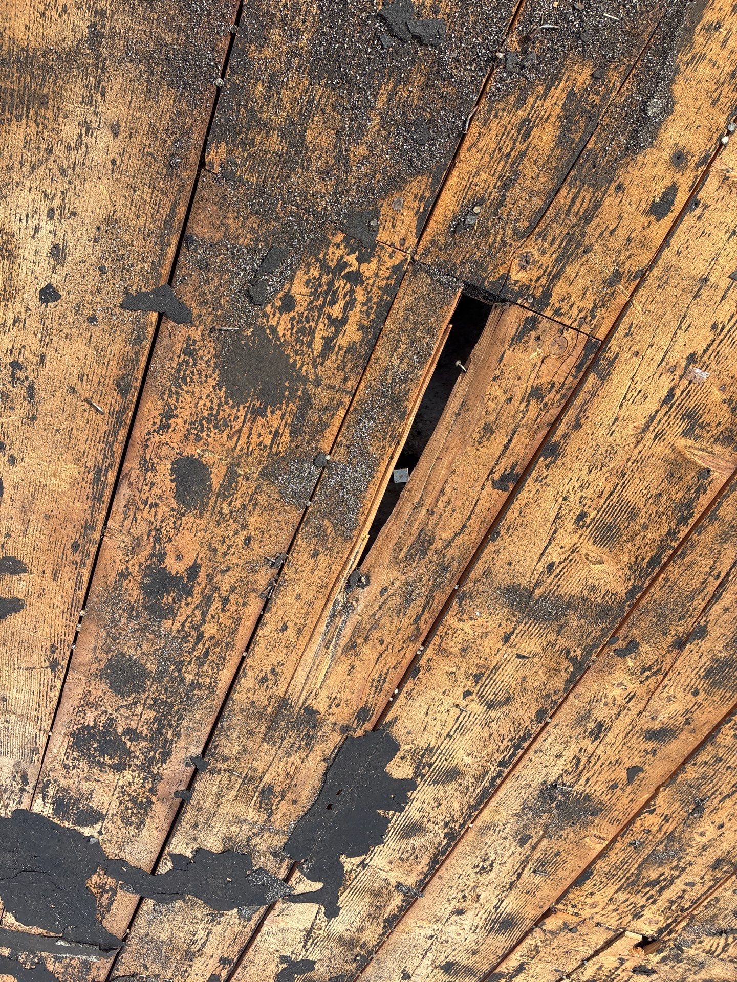 Project in St. Petersburg 33705 by Mitchell Roofing Company LLC 