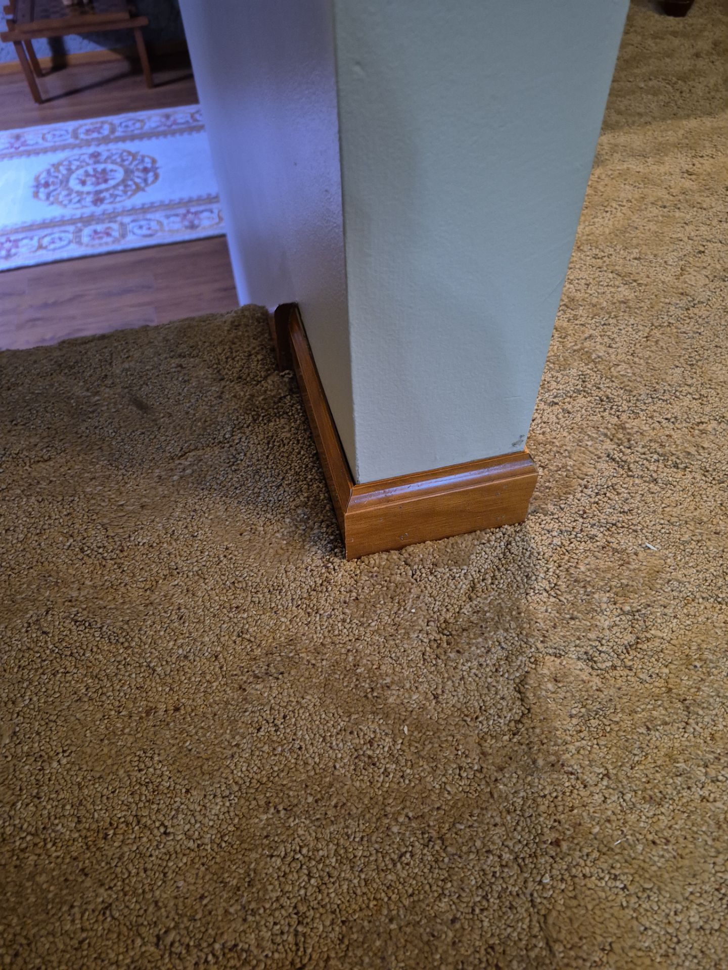 Interior Painting and Drywall Surface Repairs in Whitehall by Gordon Painting
