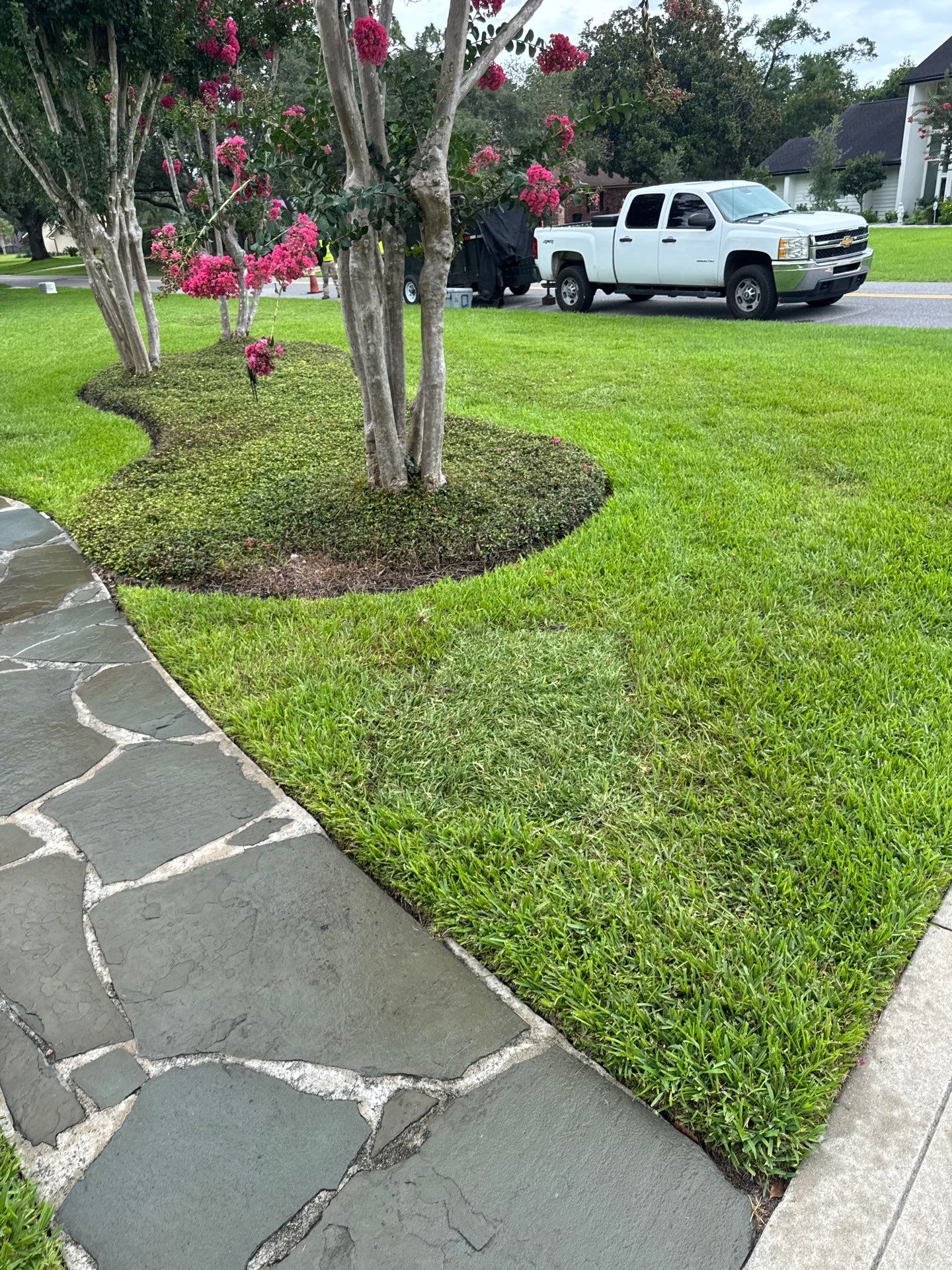 Deerwood Resident | Sod & Plant Installation by ProGreen Services