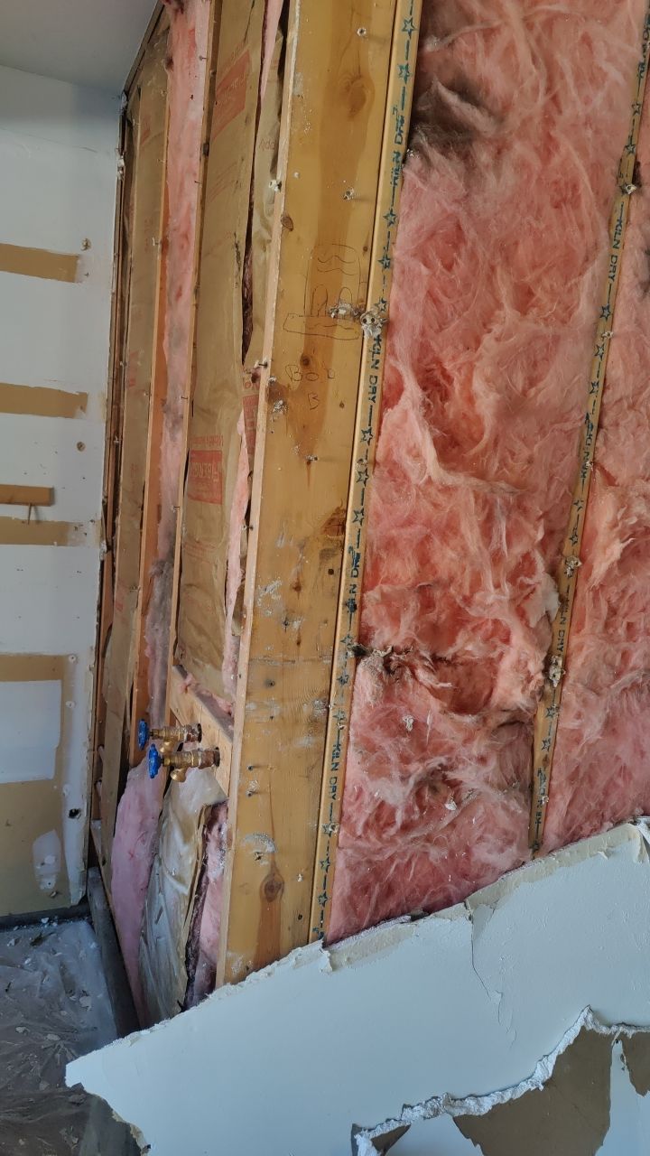 Water Damage  by Accountable Home Services