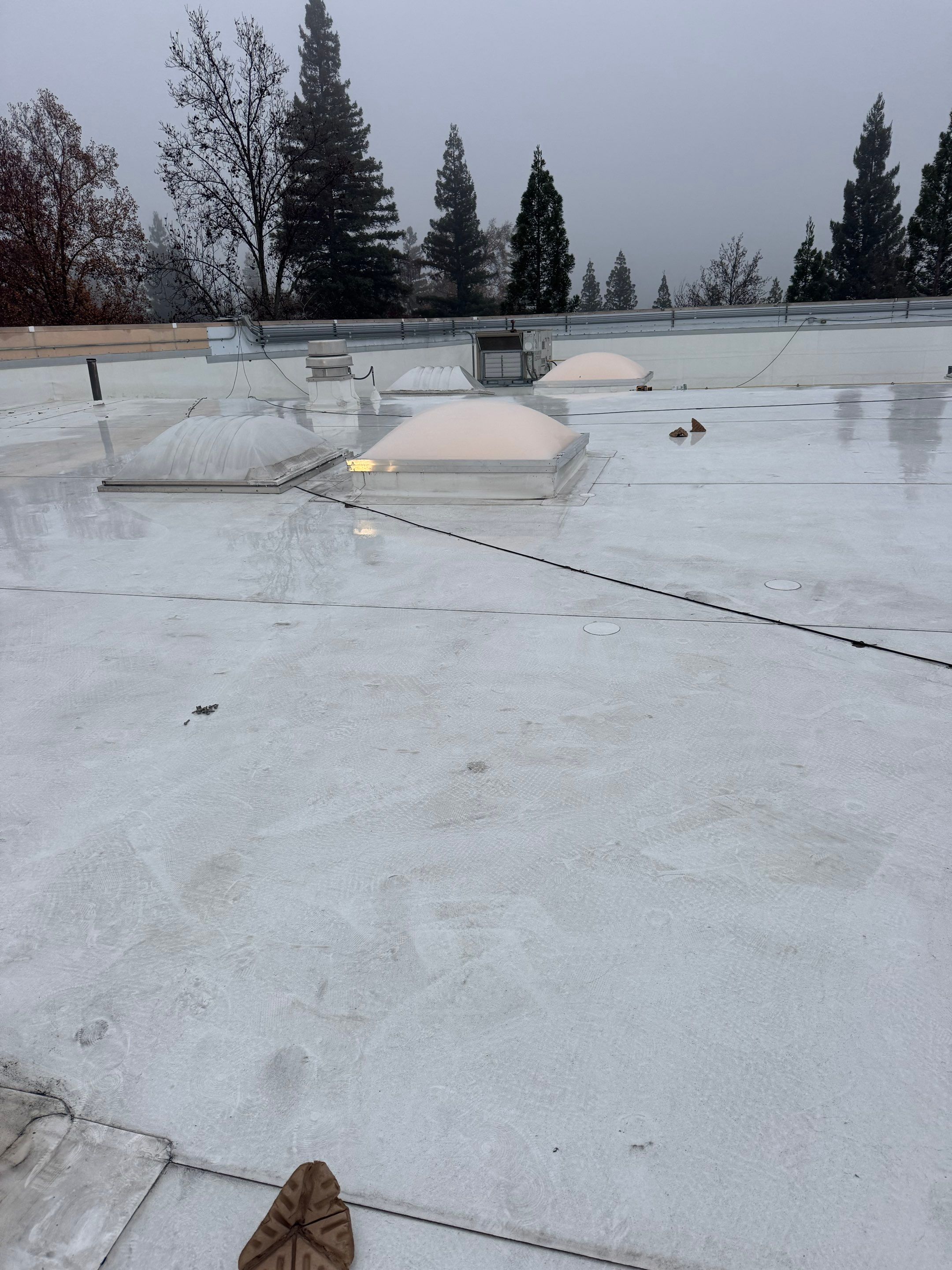 Project in Roseville by Sanchez Single Ply Roofing