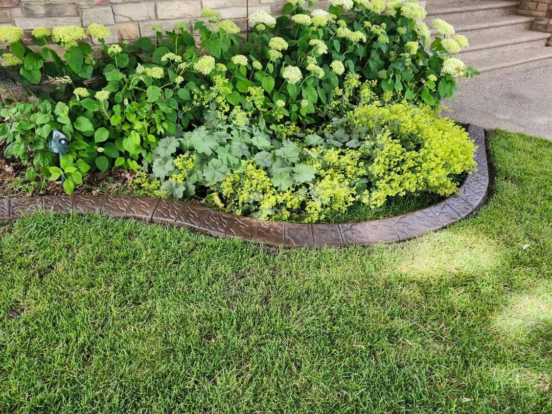 Decorative Stamped Concrete Landscape Edging Installation in Medicine Hat