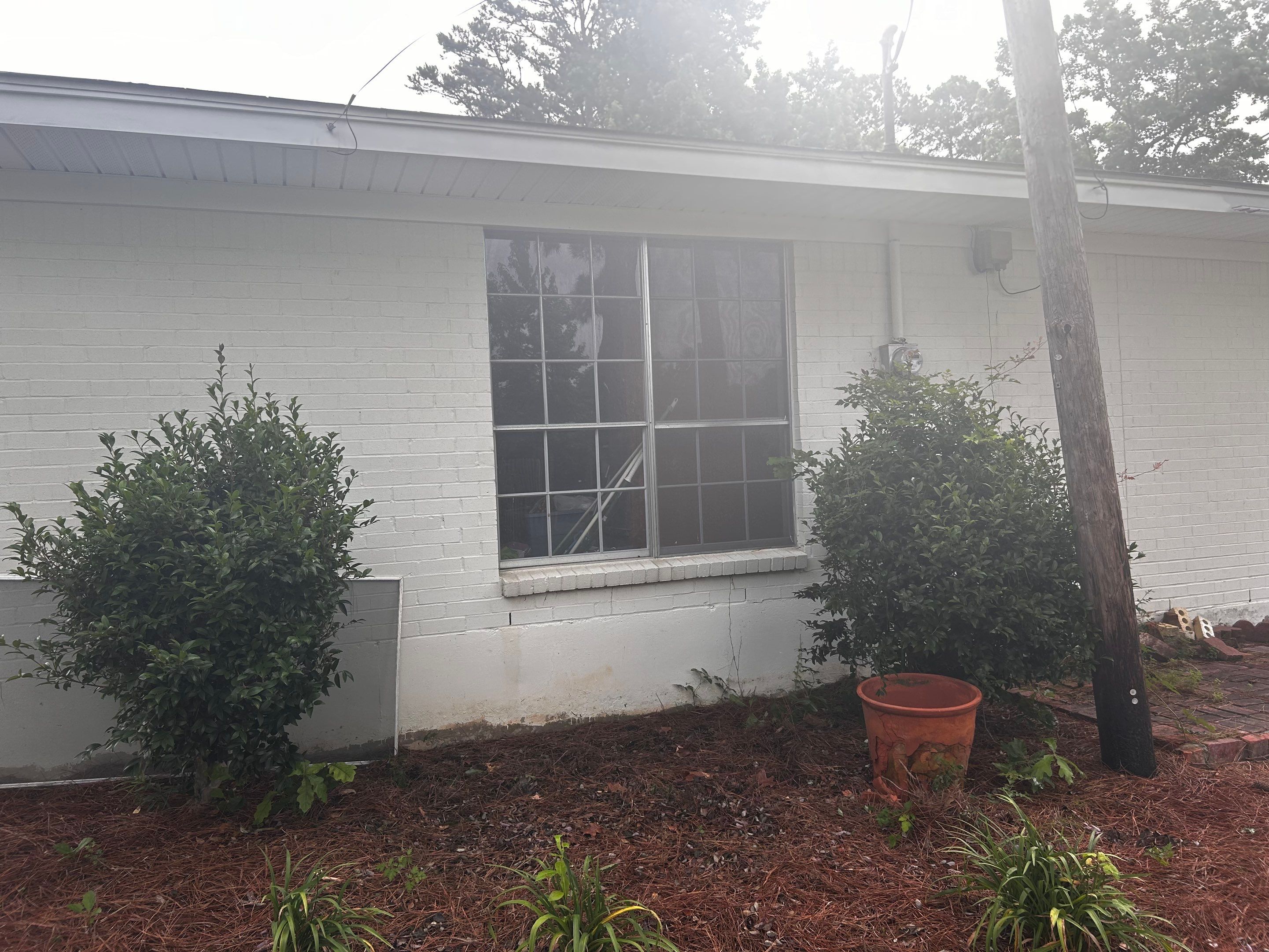 Total House and Yard Clean Up by College Bros Outdoor services