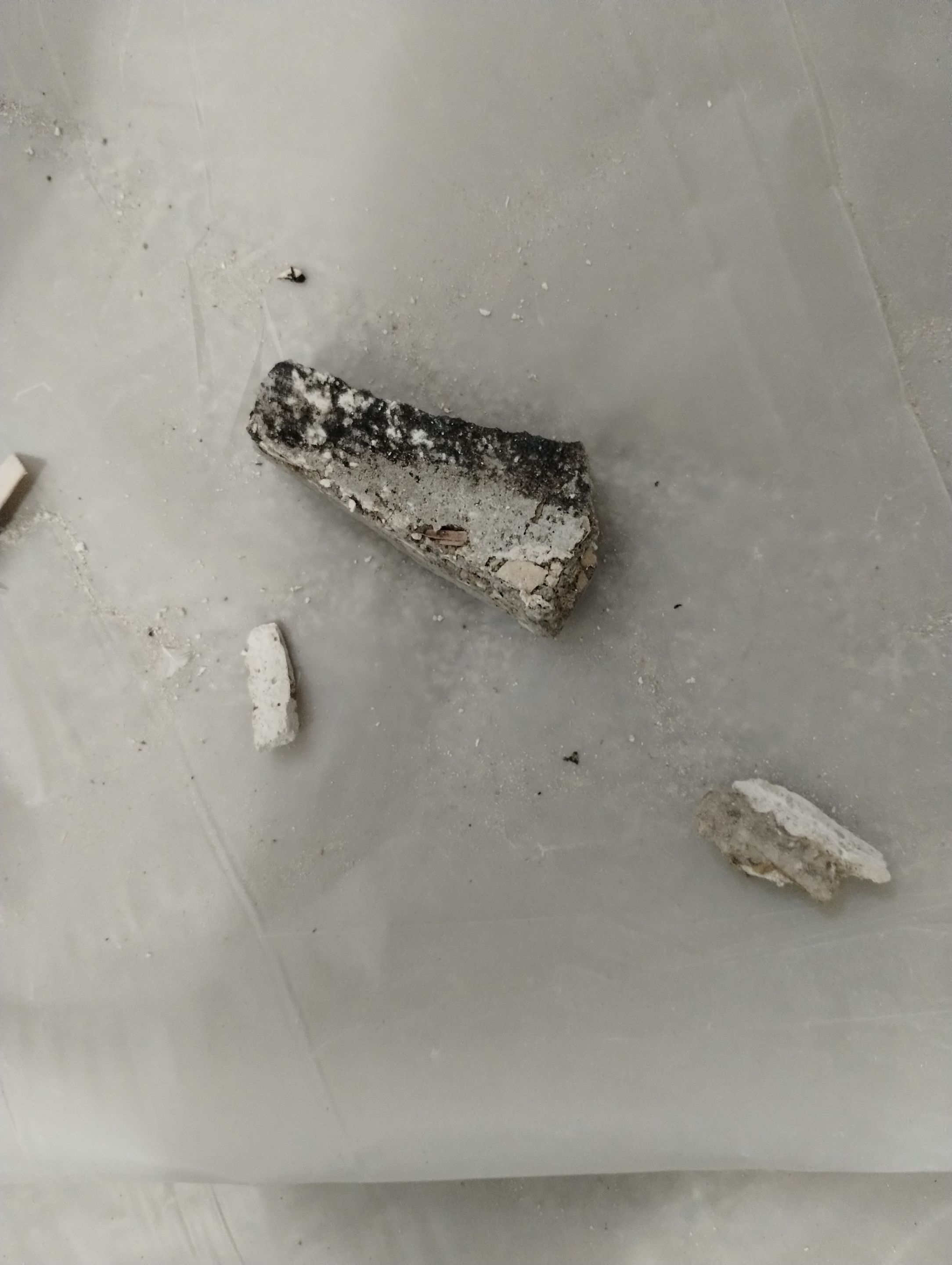 Mold Damage Repairs by Accountable Home Services