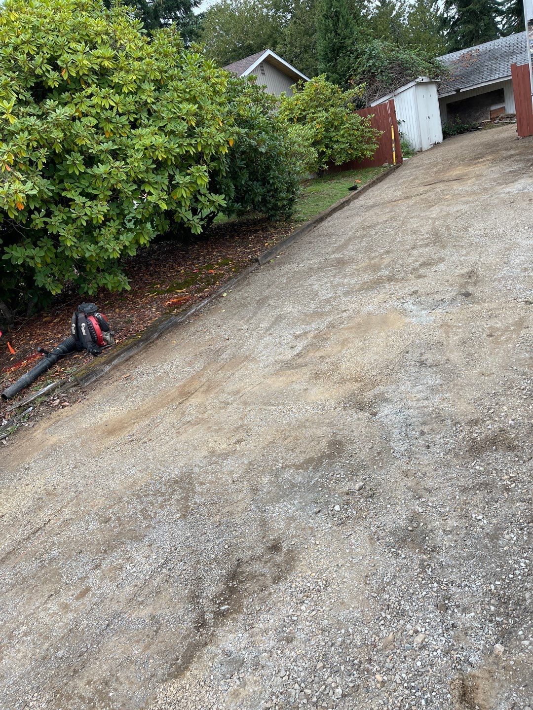 Jenni | Asphalt Driveway Repair  by Jireh Asphalt & Concrete Inc 