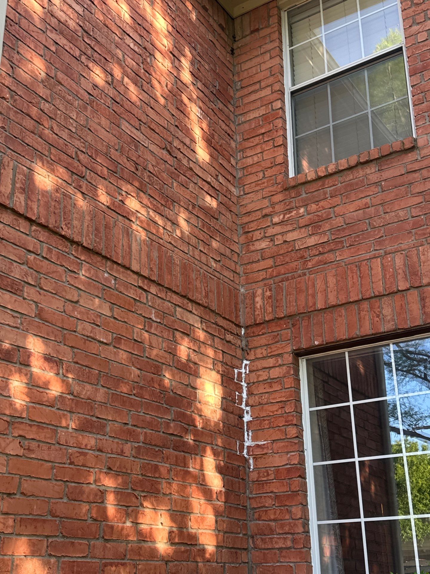 Bees Behind Bricks by Rockwall Honey Bee Company