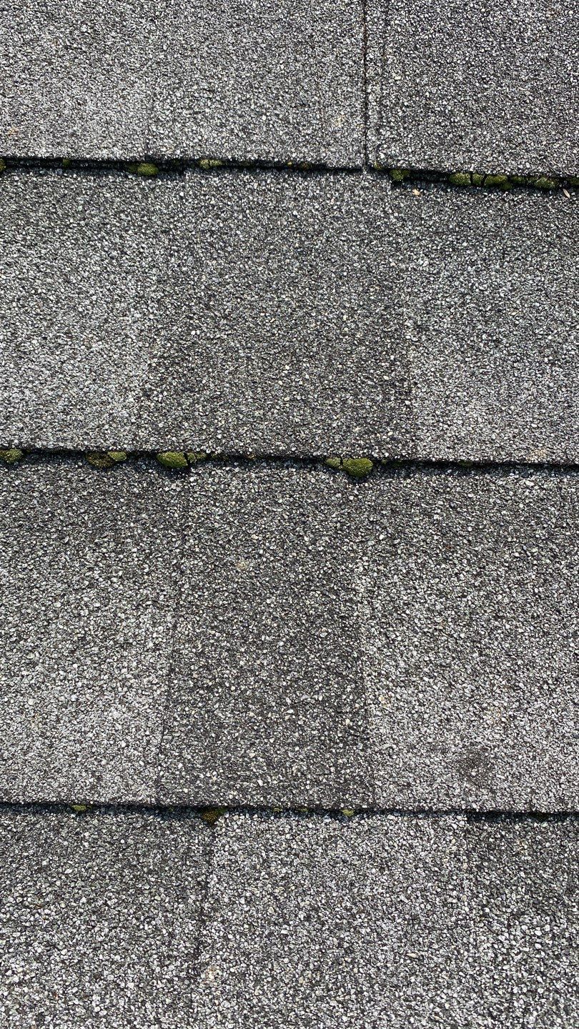 Save The Life Of Another Roof. Don’t Prematurely Replace Your Roof.  by Save My Roof,LLC