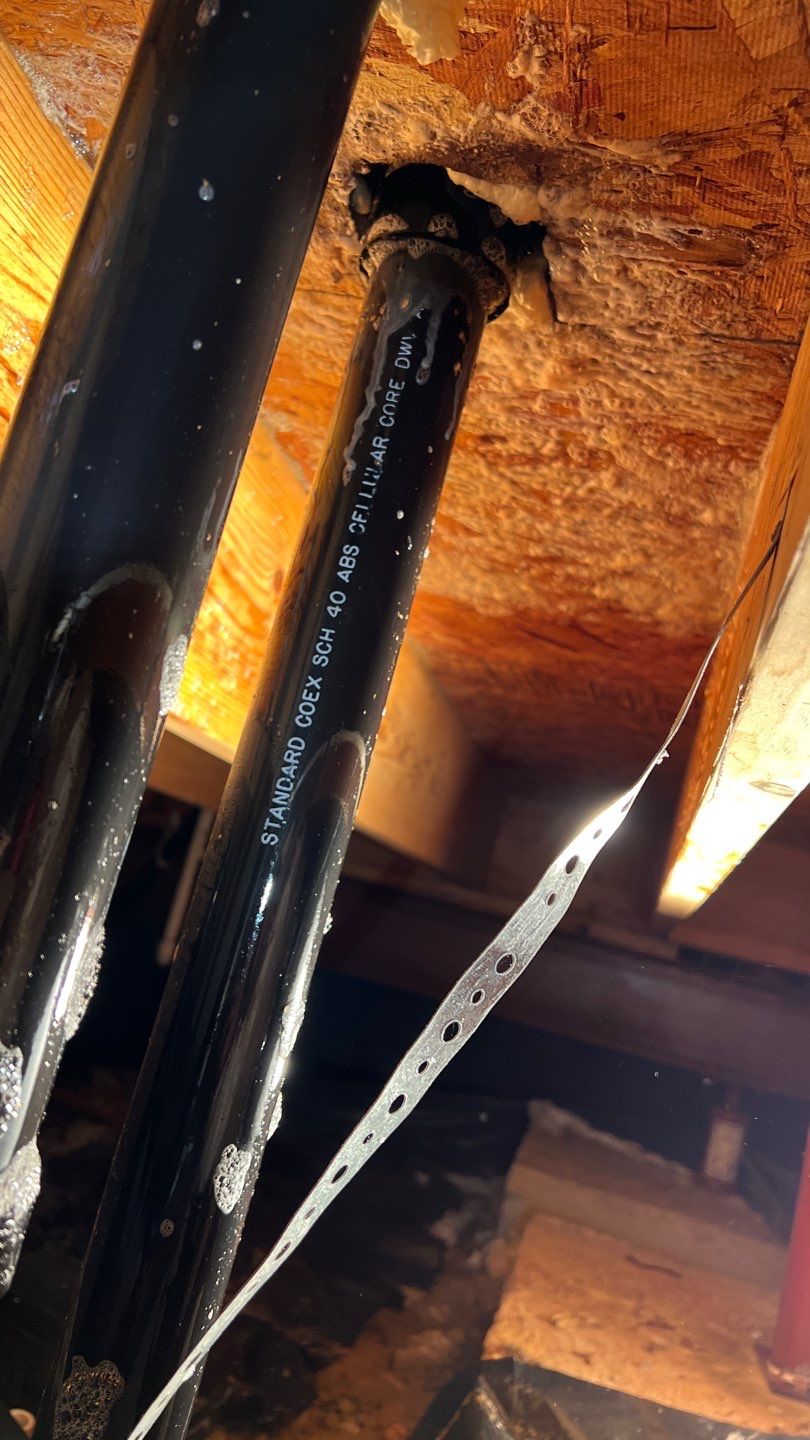 Mold Damage by Accountable Home Services