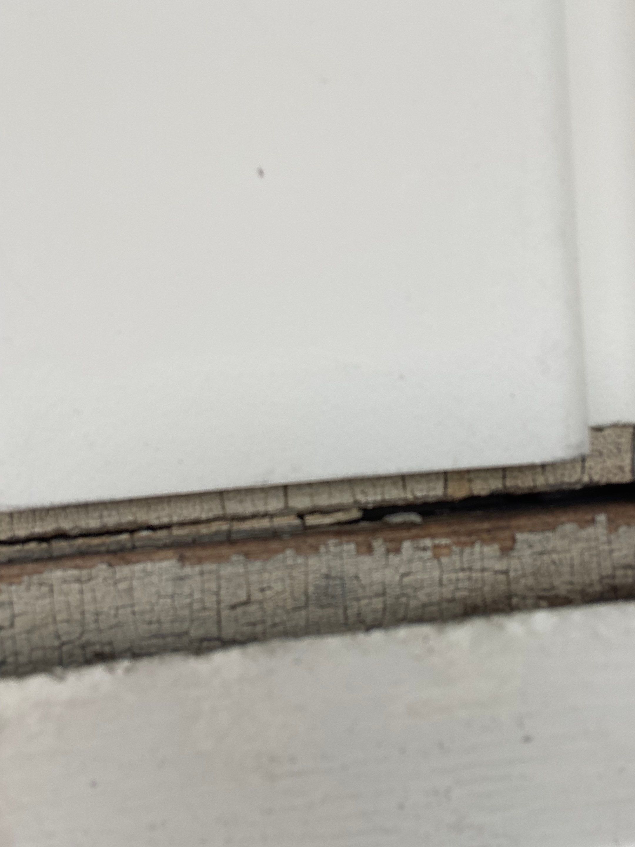 Gutters | Lowell by Mighty Dog Roofing of Greater Middlesex County