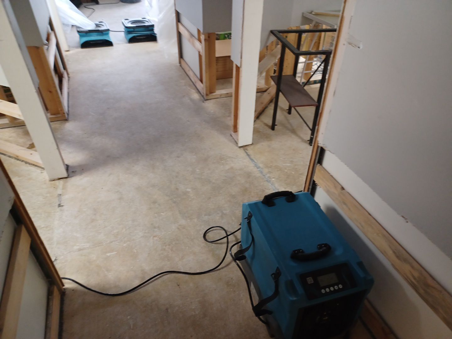 Project in Commerce Twp by EzDry Water Mitigation & Property Restoration