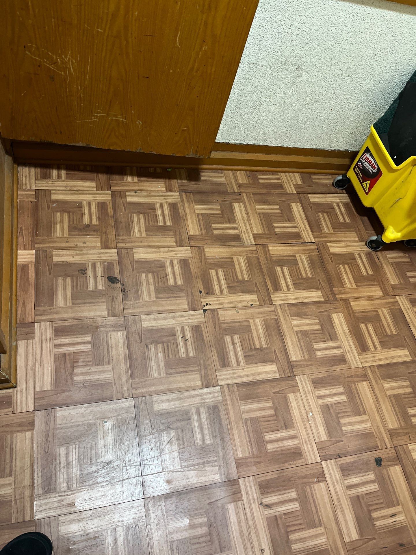 Project in Chicago by Xo Clean Services 