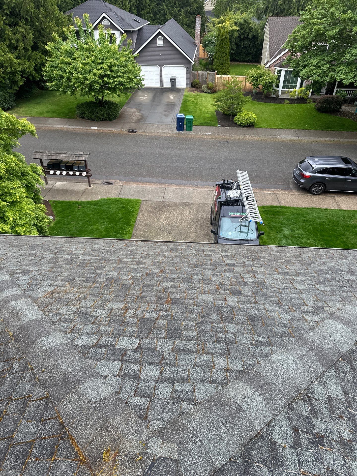 Softwashed in many Years back, and organic regrowth significant by DawnSky LLC