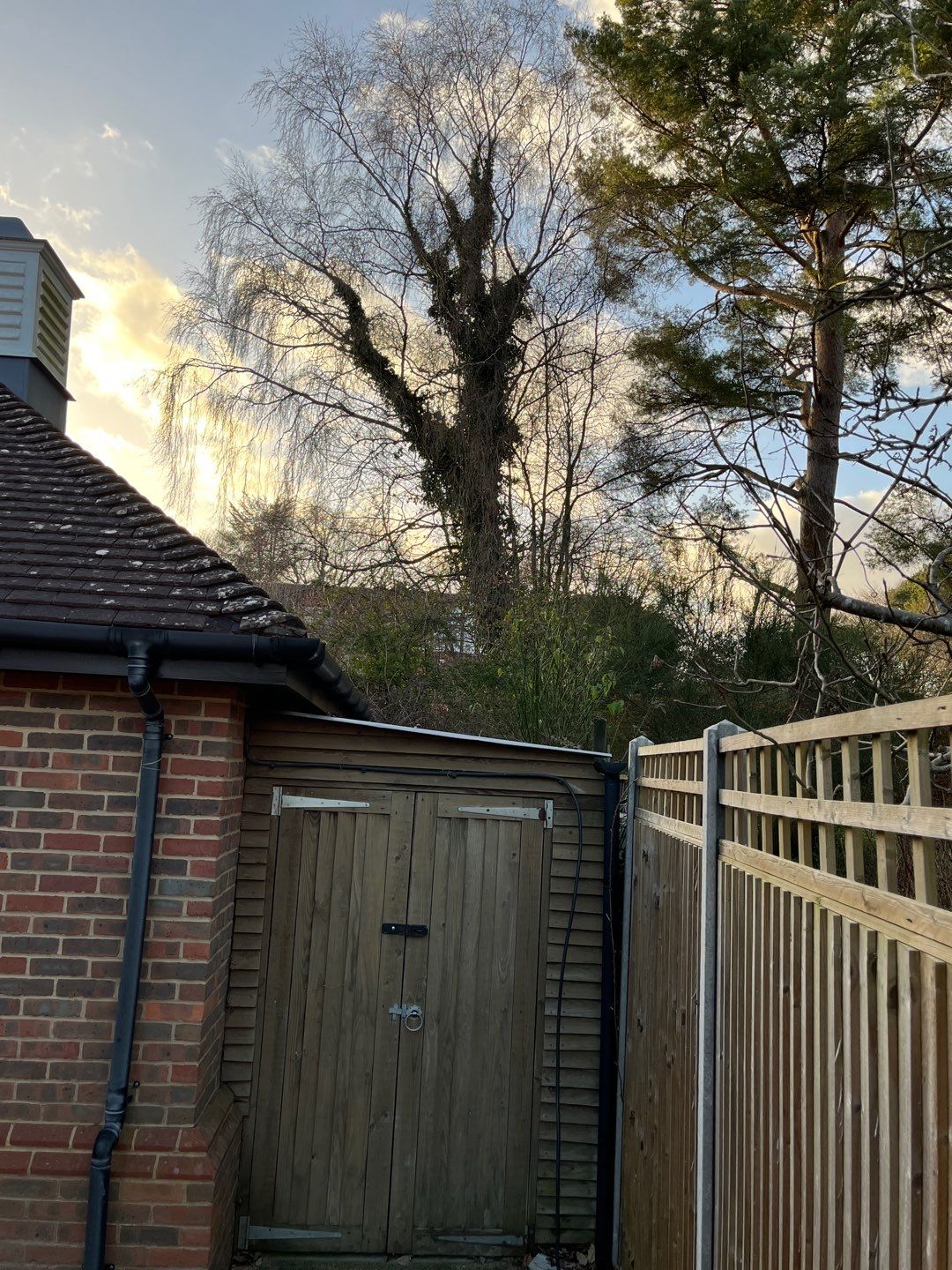 Roof and Driveway Clean using Mosmatic FSC and Biocide by Ges Exterior Cleaning ltd