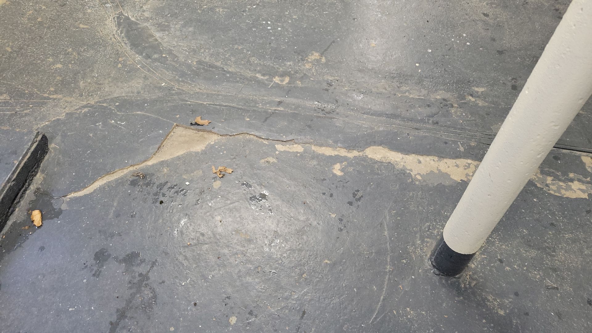 Laundry Room Floor Coating using Penntek- Silver Creek by Spectrum Painting, LLC