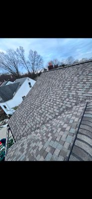 Project in Royal Oak