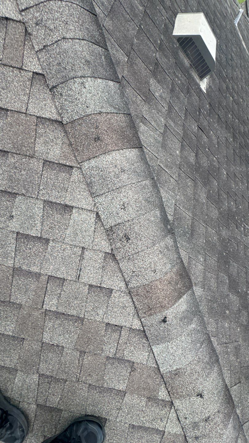 Franky Inspection by Boss Hogg Roofing