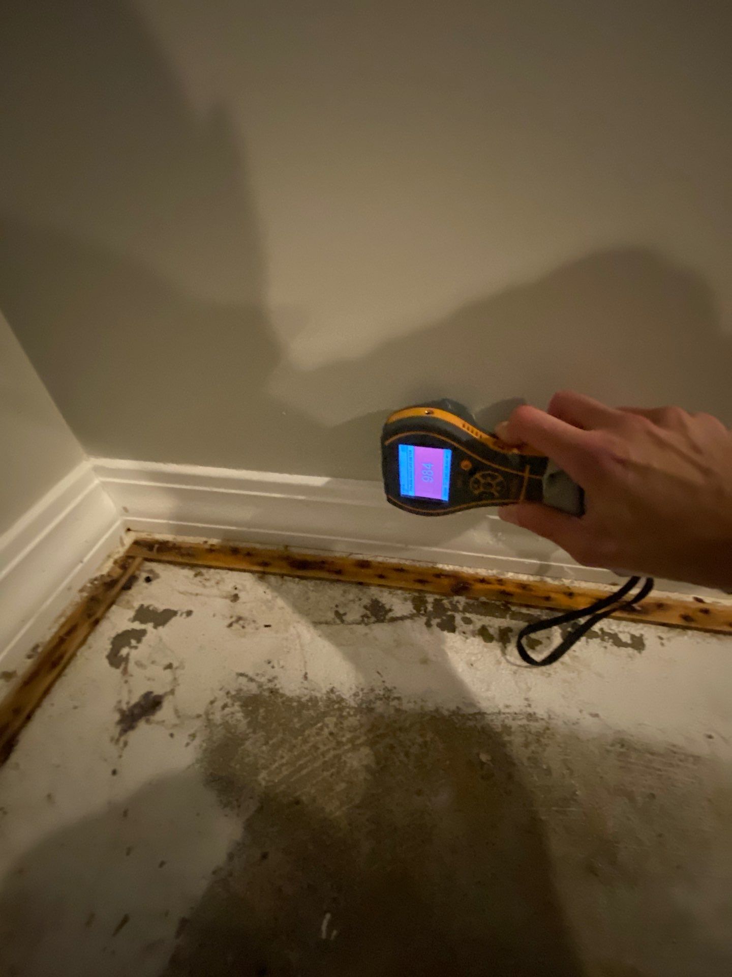 Project in West Bloomfield by EzDry Water Mitigation & Property Restoration