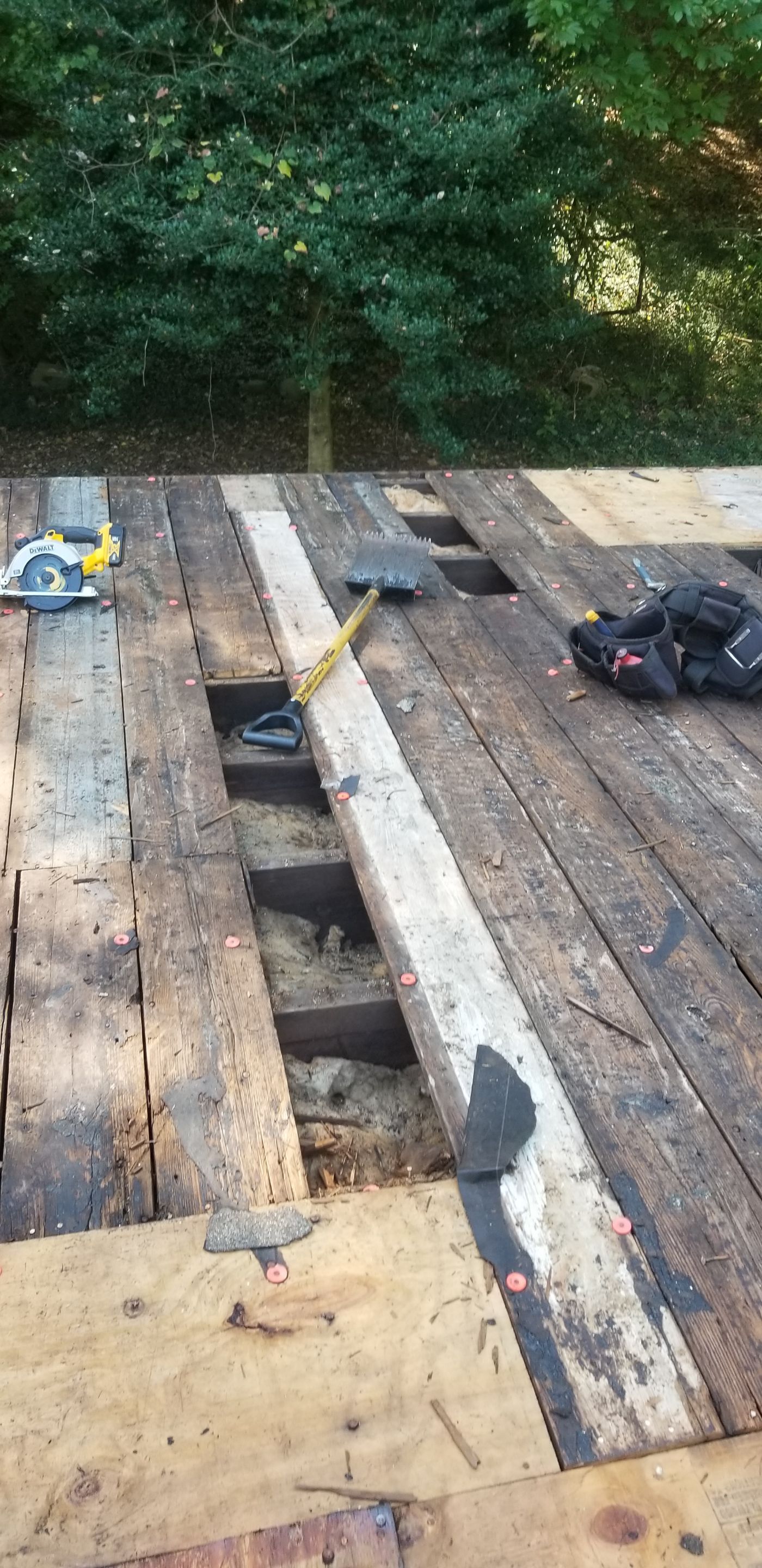 Atlas Pinnacle Pristine Scotchgard: Hickory Drip Edge: Musket brown by Eagle Eye Roofing