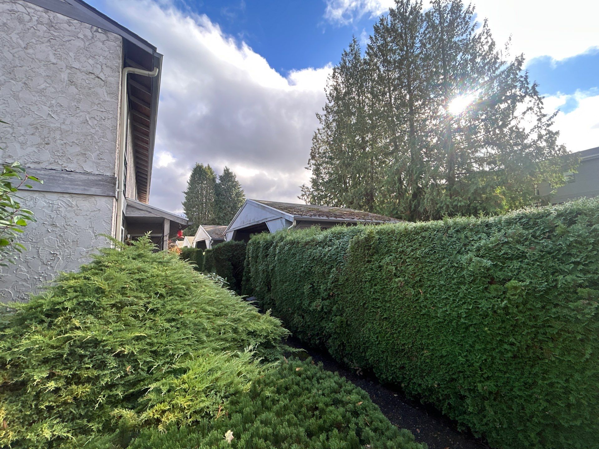 Project in Shoreline by Peaks and Valleys Construction