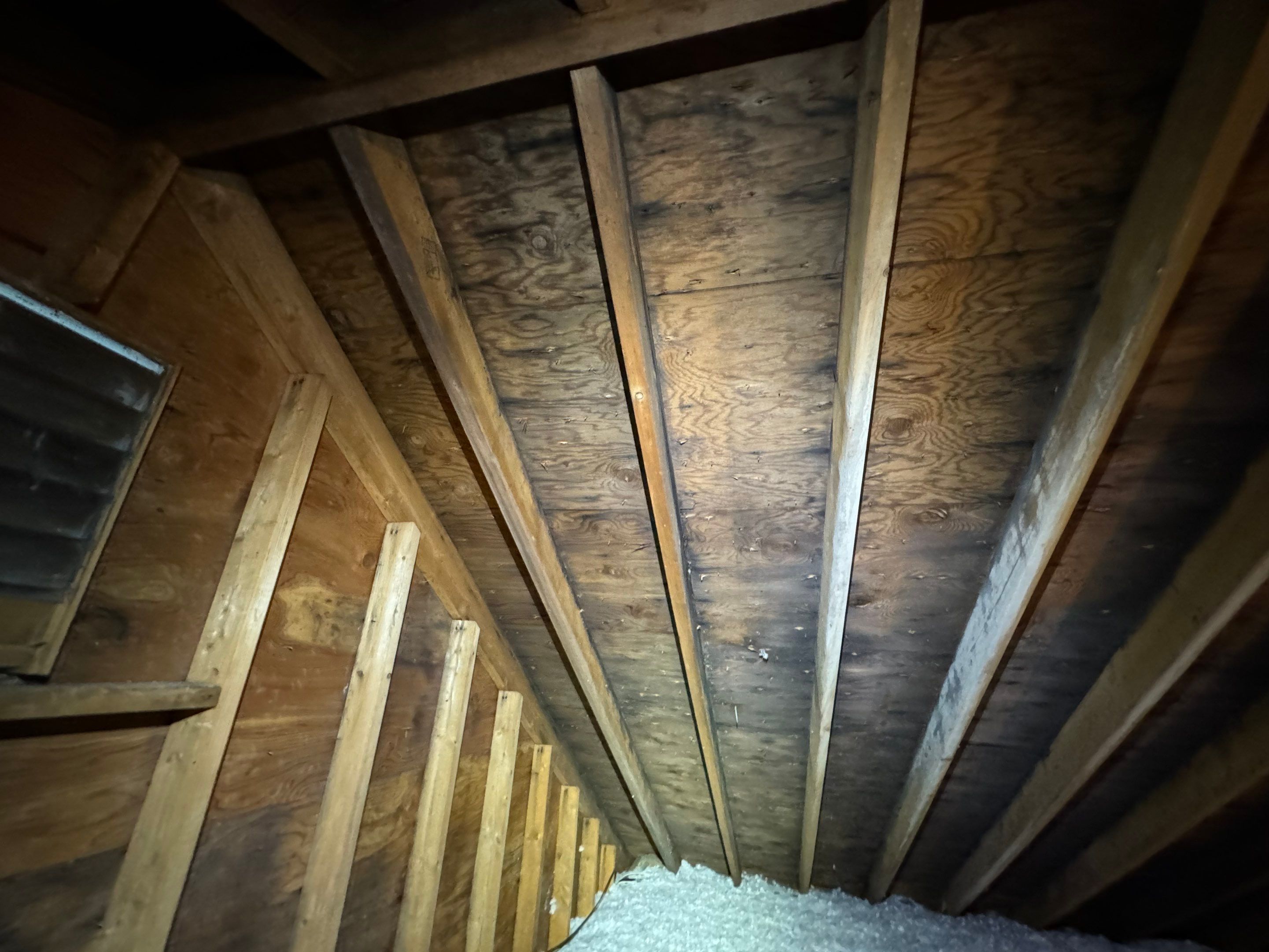 Attic Mold Remediation by Home Guarantee, LLC