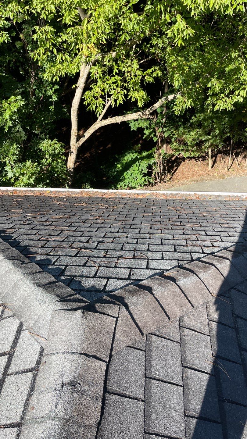 Designer Commercial Shingle Roof Replacement by Georgia Roof Advisors