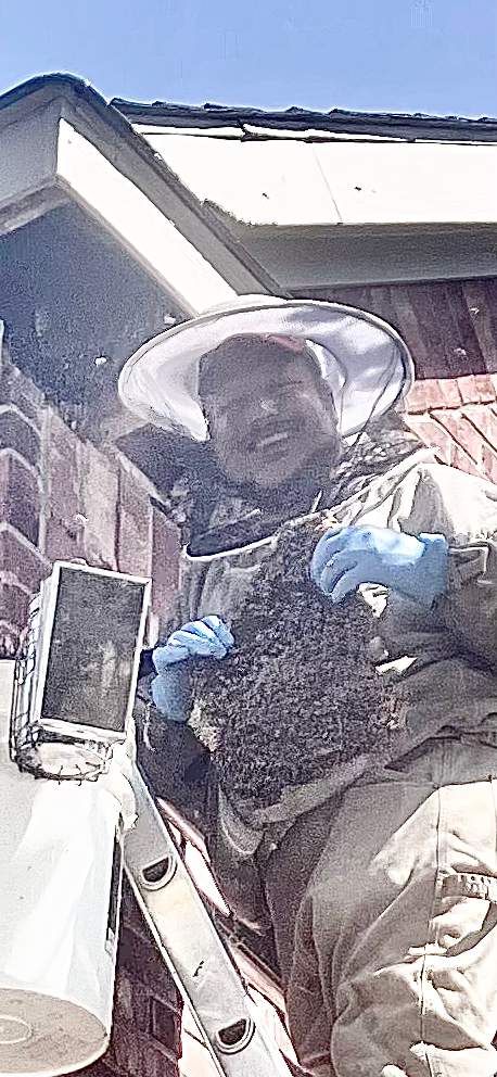 Extra High Up by Rockwall Honey Bee Company