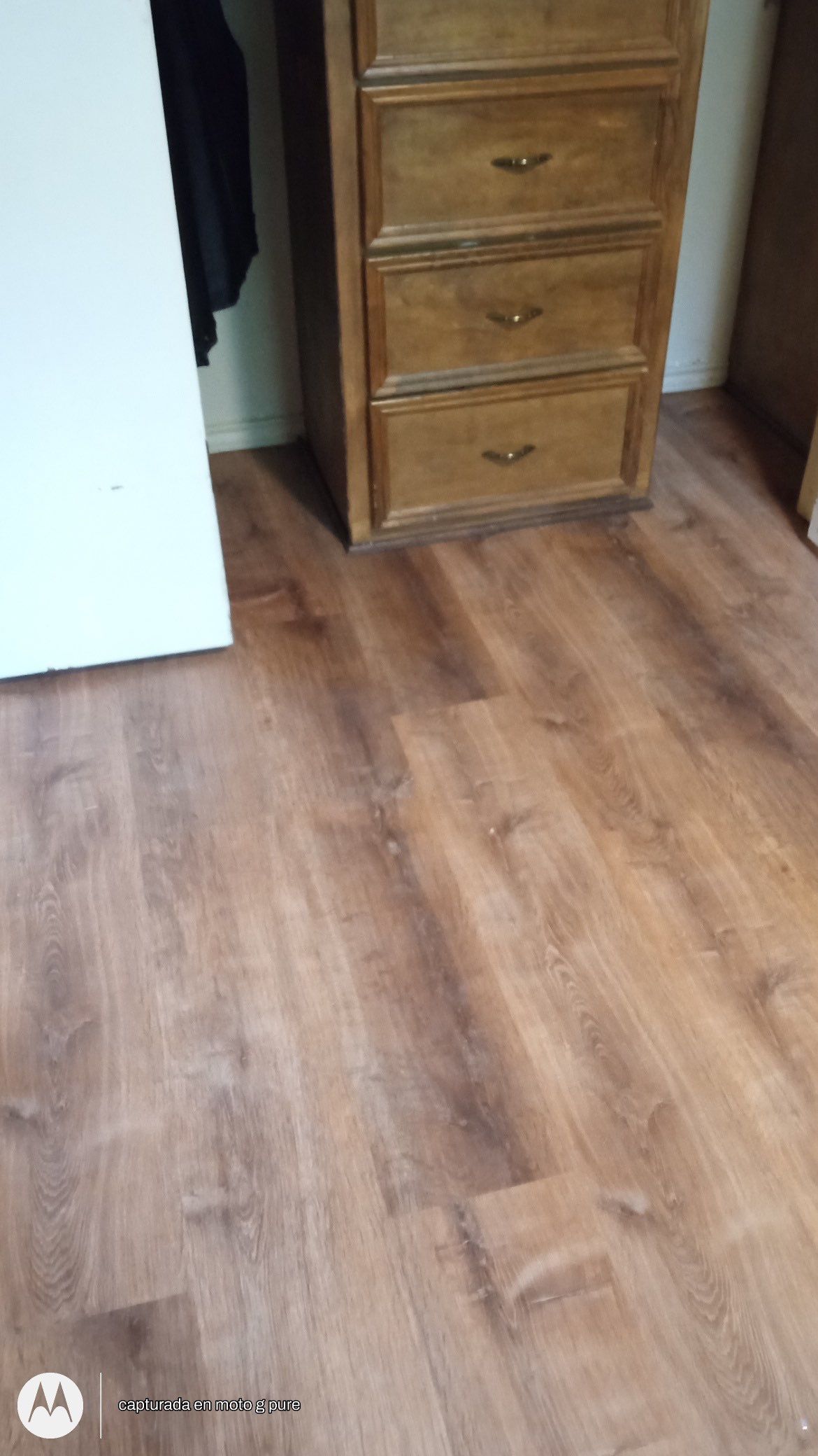 From Carpet to Pet Friendly Master BR by Bernard Hardwood Floors