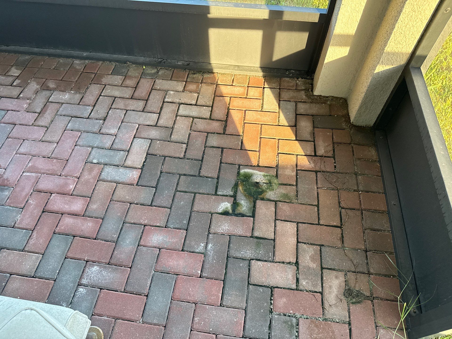 Complete House Wash, Driveway & Lanai Cleaning – Trevesta, Palmetto FL by Sunshine AquaWash