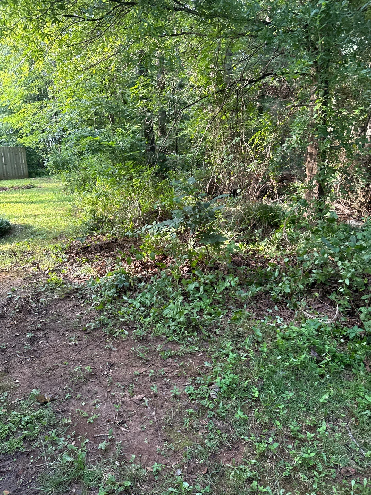 Project in Indian Trail by Badger Hauling