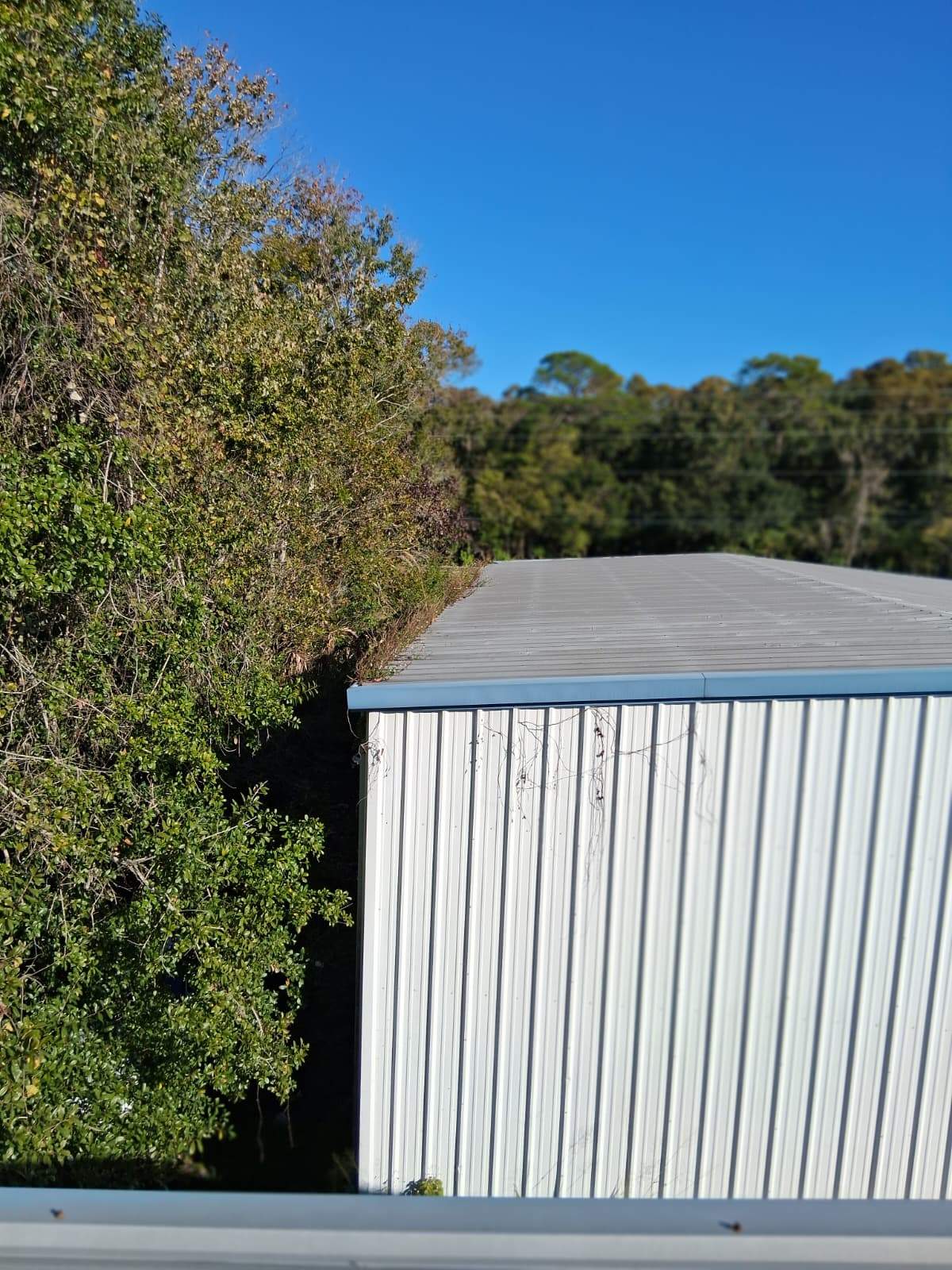 Clean Gutters and Seal Seams in Lakeland FL by Gutter Professors