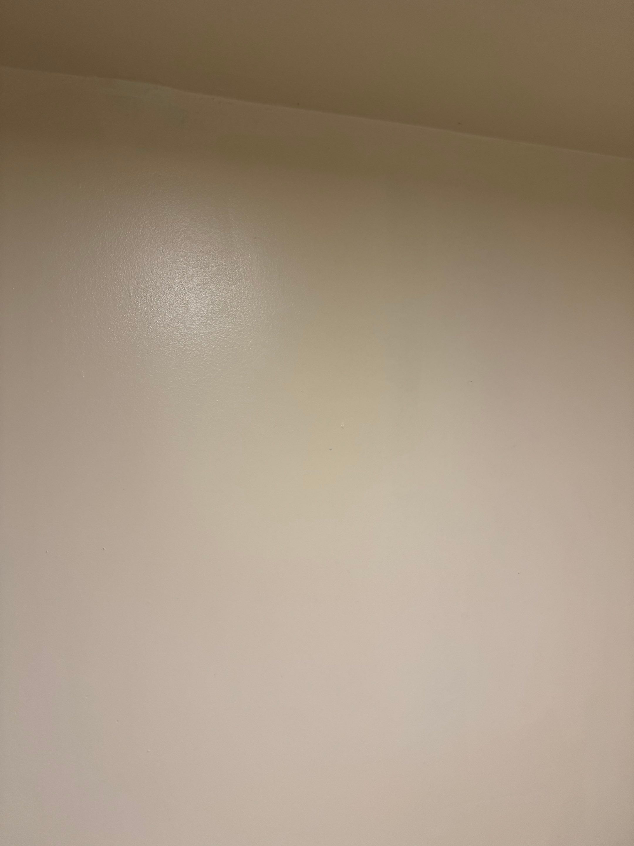 Painting by YVR Construction Group