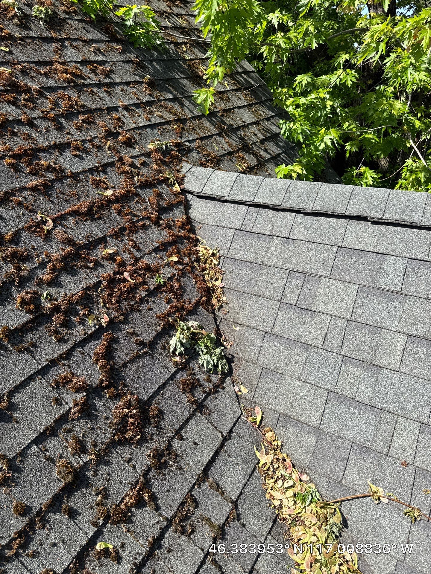 Full Residential Roof Replacement and Decking Repair in Lewiston by Alpine Roofing
