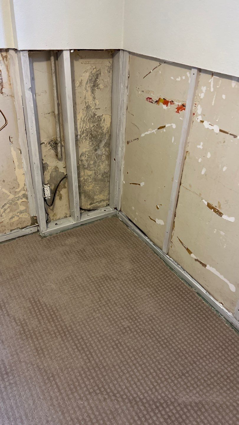 Mold Remediation by Accountable Home Services