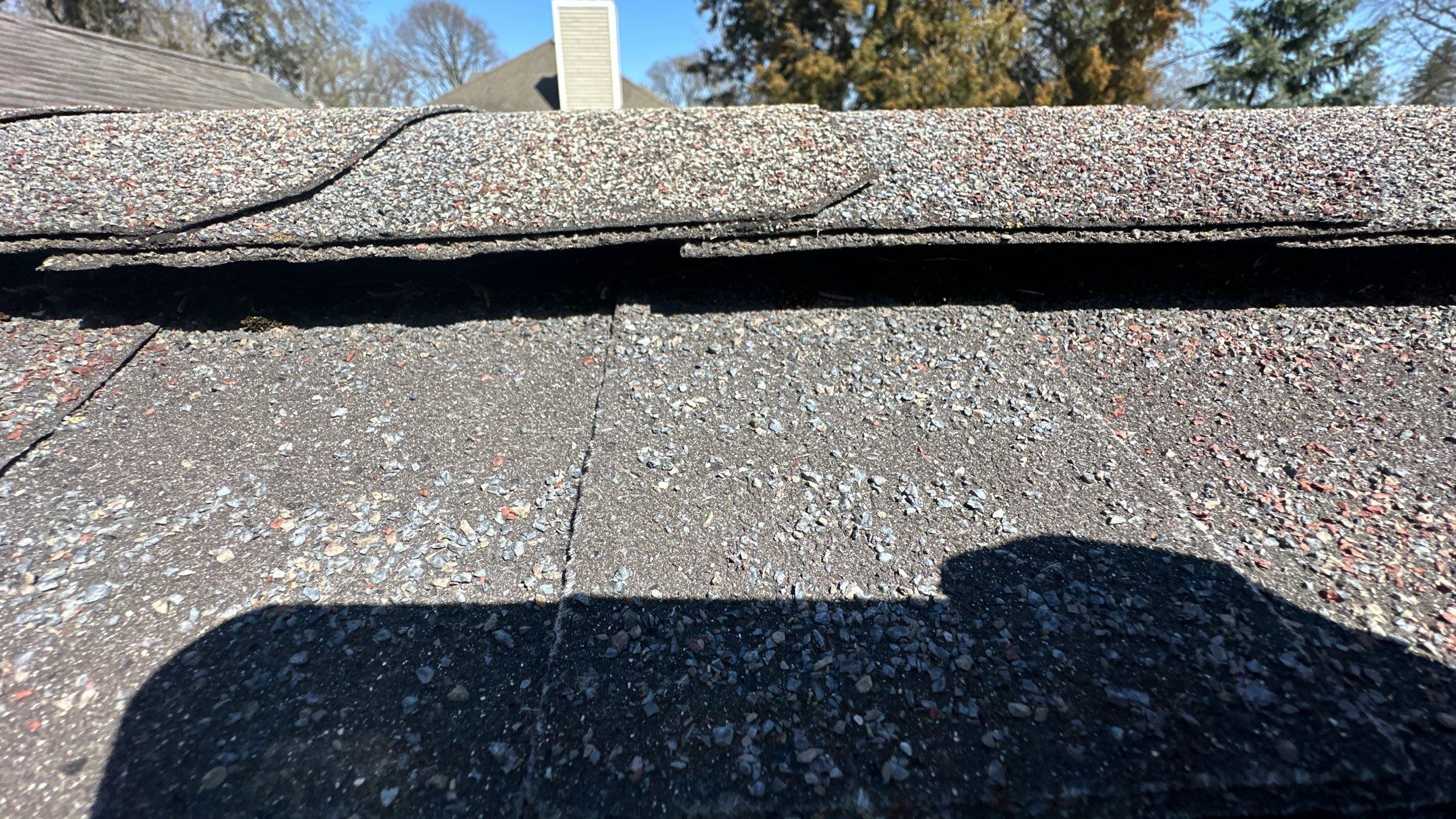 Roof replacement- Malarkey Vista color Hether by Pro Home Services Inc