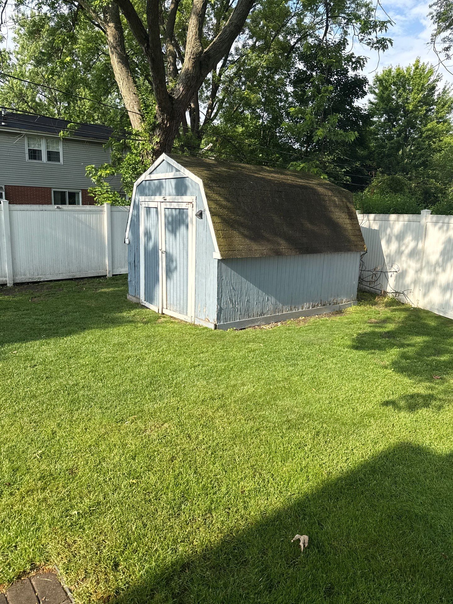 Ashley B. - Glenview, IL by A&N